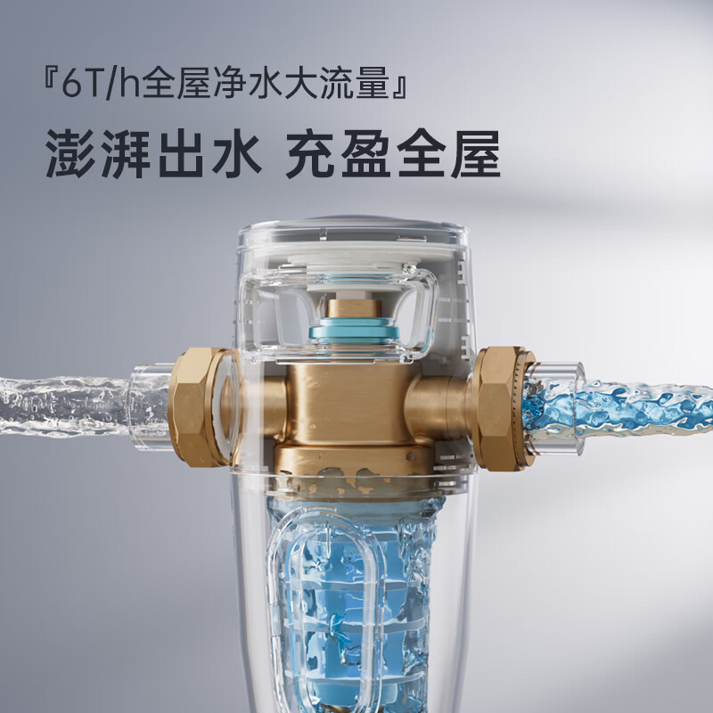 志高6T/h大流量前置过滤器家用反冲洗自来水全屋中央净水器Q5上门安装