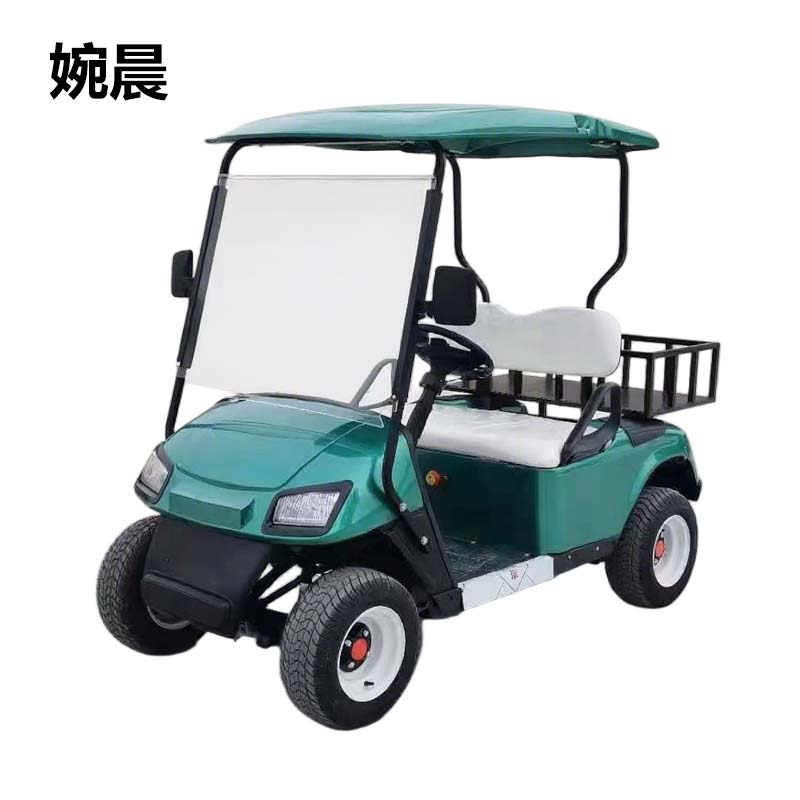 电动高尔夫球车4-6-8座公园景区旅游观光车小区楼盘售楼处看房车酒店高铁接待游览摆渡电瓶车 一排两座（锂电池） 72V