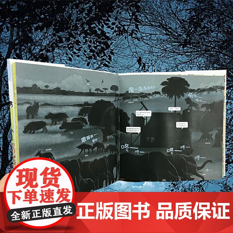 国际安徒生奖评审会荣誉插画家松冈达英探索自然绘本:一家人看世界 去非洲看动物(探索自然,感悟生命,让孩子更懂爱)丁虹绘本高清大图