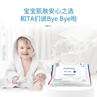 蓝帆 湿厕纸除菌液体湿擦卫生湿巾湿纸巾洁厕40片