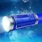 钓鱼灯亮夜钓灯夜光蓝白光大功率氙气灯强光台钓装备饵灯