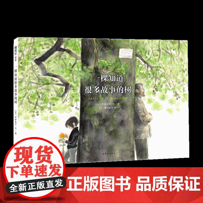 一棵知道很多故事的树 陪伴与包容的成长故事 将《窗边的小豆豆》中的小林校长带回家高清大图