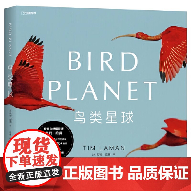 【正版书籍】鸟类星球:摄影之旅自然摄影大师蒂姆·拉曼 近30年重磅作品完整收录 每张画面都是我们更爱这个世界的理由