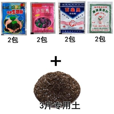 金毛狗蕨专用土蕨类土盆栽营养土酸性沙质泥炭土壤绿植种植土肥料 3斤金毛狗蕨专用土