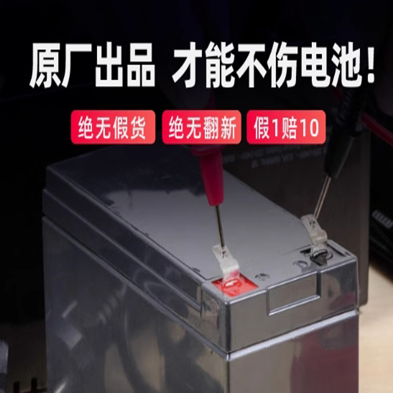 电瓶车充电器 货期1周高清大图