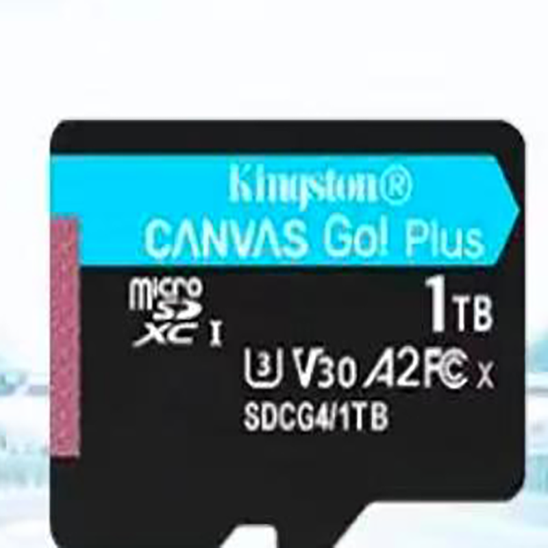 数码相机配套1T内存卡高清大图