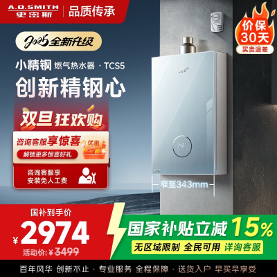 史密斯佳尼特燃气热水器JSQ31-TCS5