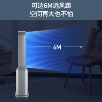先锋(SINGFUN)无叶风扇电风扇空气循环扇遥控定时水冷风扇负离子净化空调扇 DWY-S1