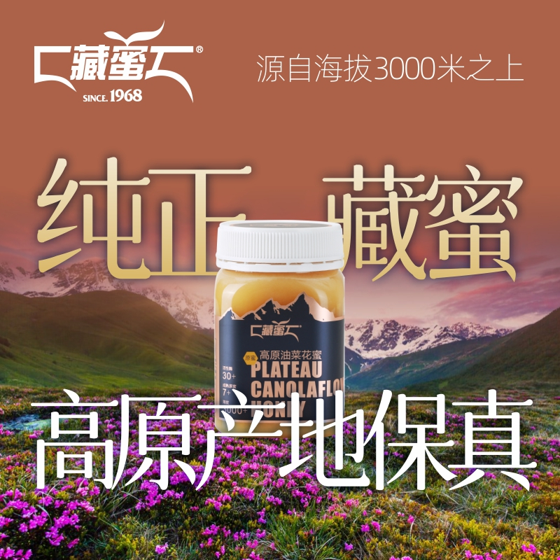 藏蜜 青藏高原油菜花蜜500g天然农家自产正品真蜂蜜成熟结晶蜜