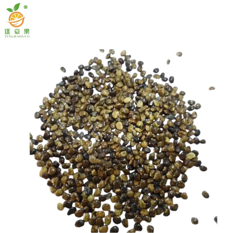 廷豪果 灌木草组合草籽 绿化草坪种子 净籽 /千克高清大图