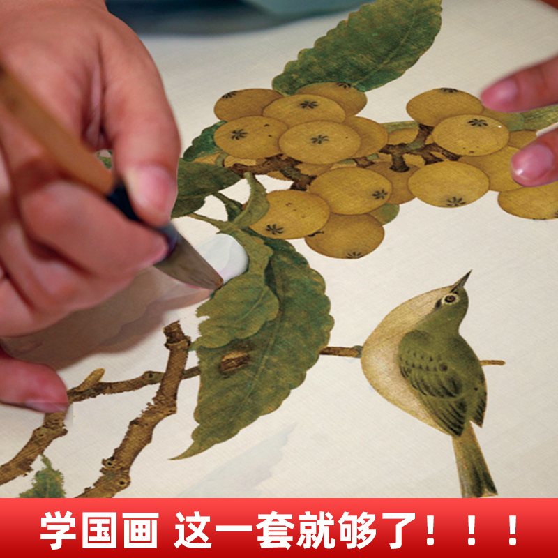 宋清花鸟高清彩图-60幅 [正版]中国画白描描摹本 工笔画白描底稿临摹画册 山水花鸟国画白描线稿 勾线笔控笔 描红拓印高清大图