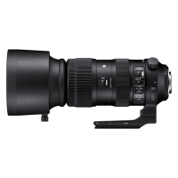 Sigma/适马60-600MM F4.5-6.3 DG OS HSM S版 长焦镜头(佳能口) 年终特惠