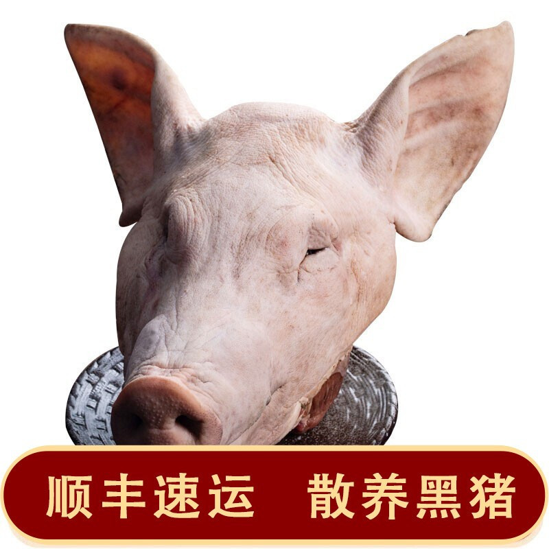 [猪头肉 顺丰速运]野蛮香猪肉黑猪生猪头肉 猪嘴猪头肉带骨 新鲜猪头肉整个猪头散养新鲜现杀年货带耳无舌10斤左右