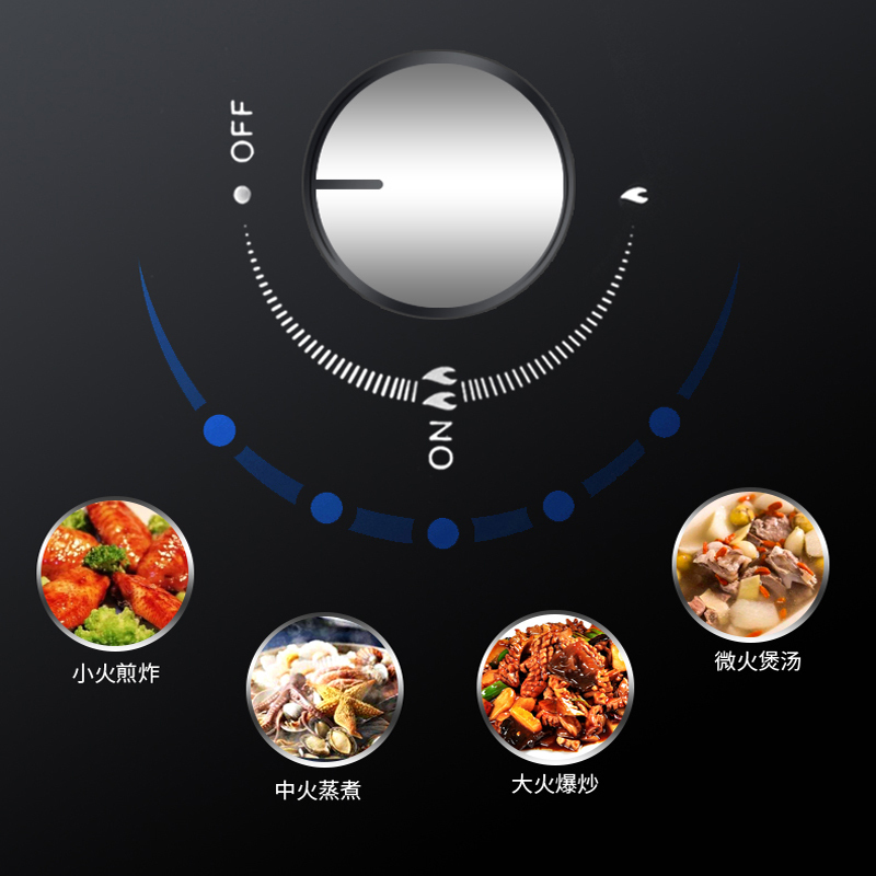 志高(CHIGO) H131不锈钢面板猛火单灶台嵌两用熄火保护燃气灶灶具(液化气)