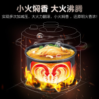 苏泊尔 (SUPOR) 家用电压力锅 精钢球釜内胆 智能预约烹饪 5L双胆高压锅 5L 显影触控 荣获20年IF设计大