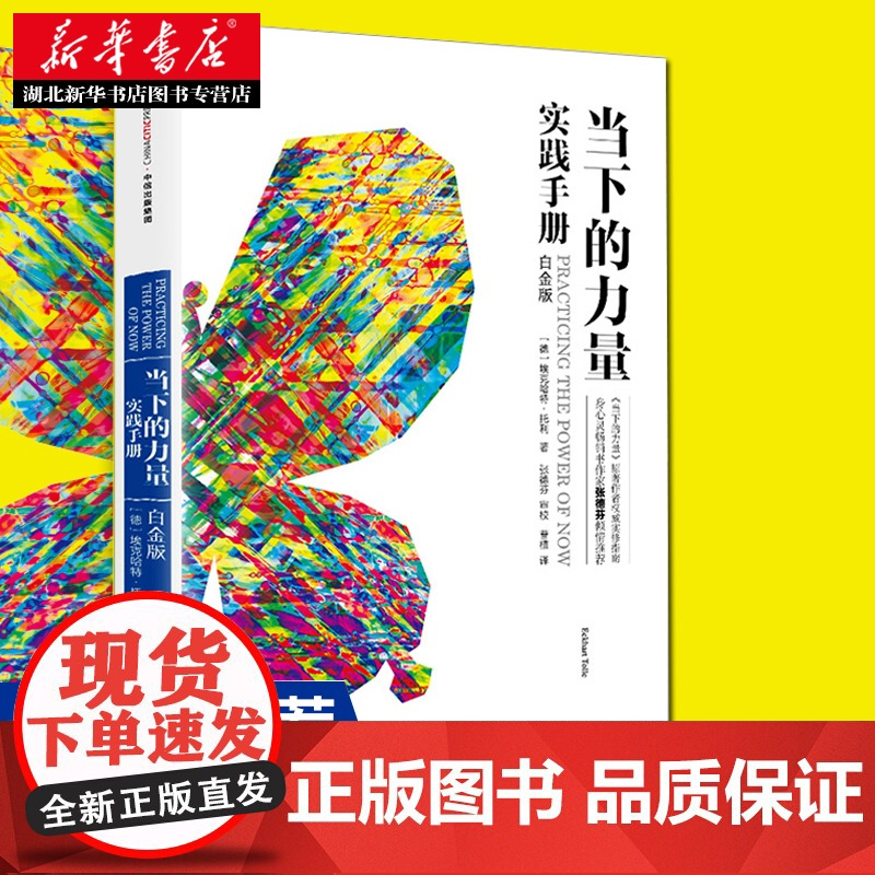 当下的力量 实践手册(白金版) 心灵书作家张德芬作序 如何创造性地使用你的大脑 如何利用你的消极心态 湖北新华正版