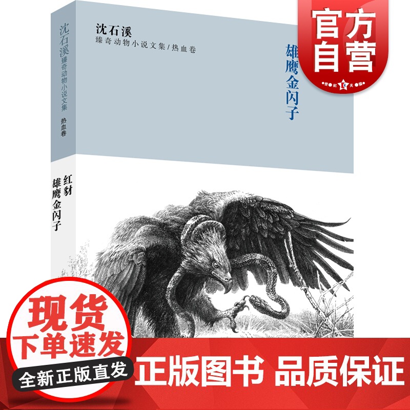 红豺 雄鹰金闪子 沈石溪臻奇动物小说文集 热血卷 8-9-10-12-15周岁儿童文学三四五六年级中小学生课外阅读书籍高清大图