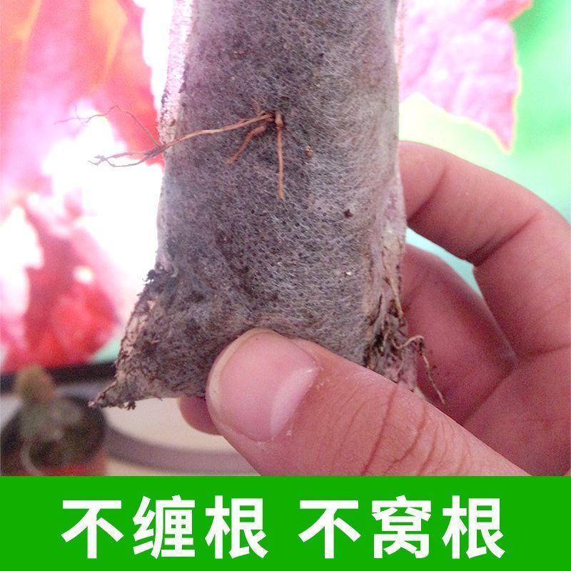 无纺布育苗袋树苗营养袋可降解容器苗圃营养袋园林美植袋-【平口】;【100个】高清大图
