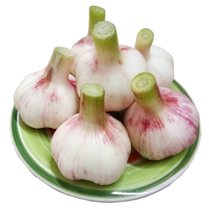 [10斤装]zy 新鲜紫皮大蒜批发大蒜头河南紫皮大蒜新蒜头湿蒜糖醋蒜现