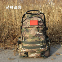 退伍纪念品 3件套 (拉杆箱20寸+牛津布面料丛林迷彩双肩包+奖牌勋章款)单位:套