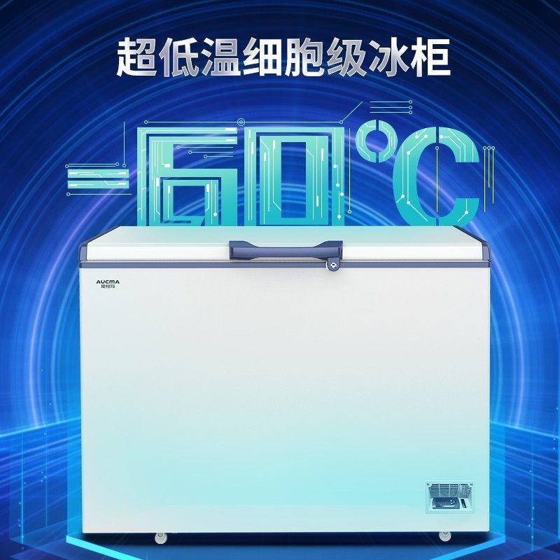 澳柯玛(AUCMA) 192升商用冰柜超低温冷柜 零下-60度海鲜DW/BD-60W192HE