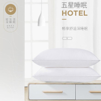 单身宿舍用羽绒枕芯