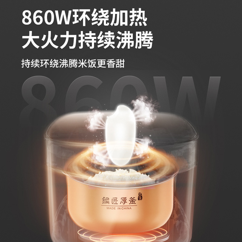 九阳(Joyoung)电饭煲3L4L5L铜釜内胆预约定时多功能柴火饭电饭锅 5升