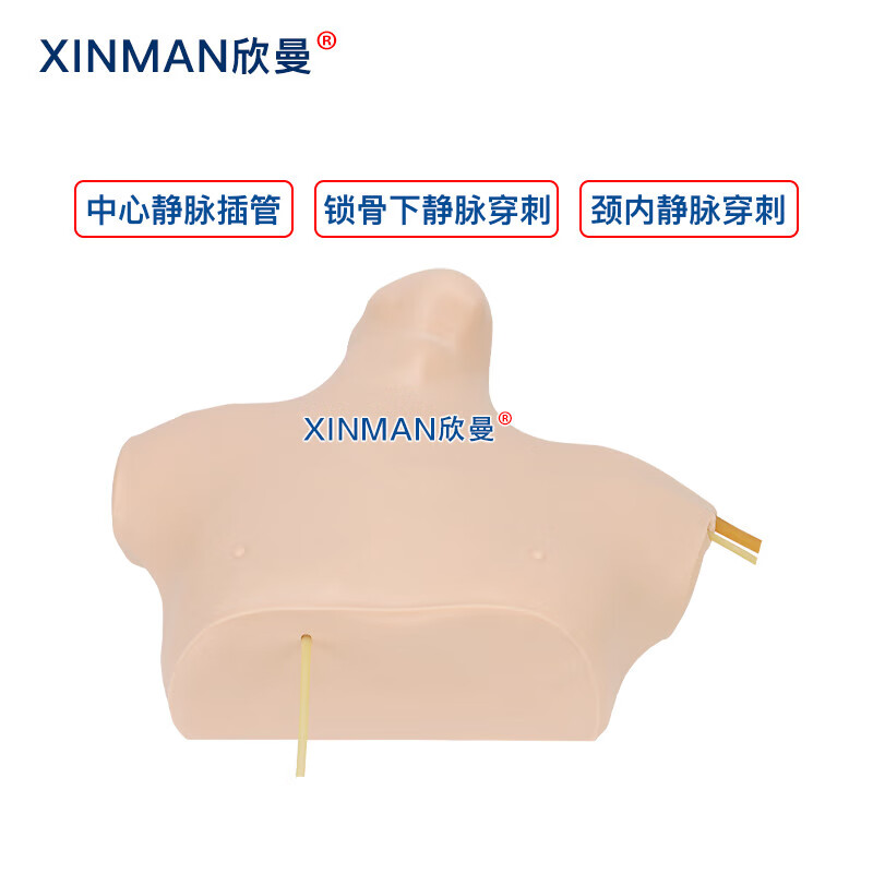 欣曼科教 中心静脉穿刺插管模型 中心静脉置管术训练模型XM-LZC02高清大图