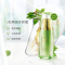 (PECHOIN)百雀羚防晒霜 水嫩莹透隔离修颜霜40g SPF50+ PA+++ 防晒隔离 新老款随机发