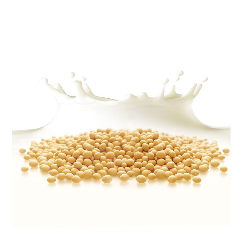 豆本豆 有机豆奶 250ml*16包 4000ML (新老包装随机发货)