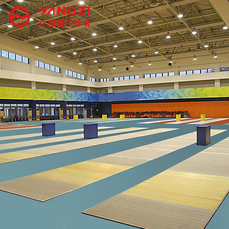 扬子(YANGZI)剑道高清大图