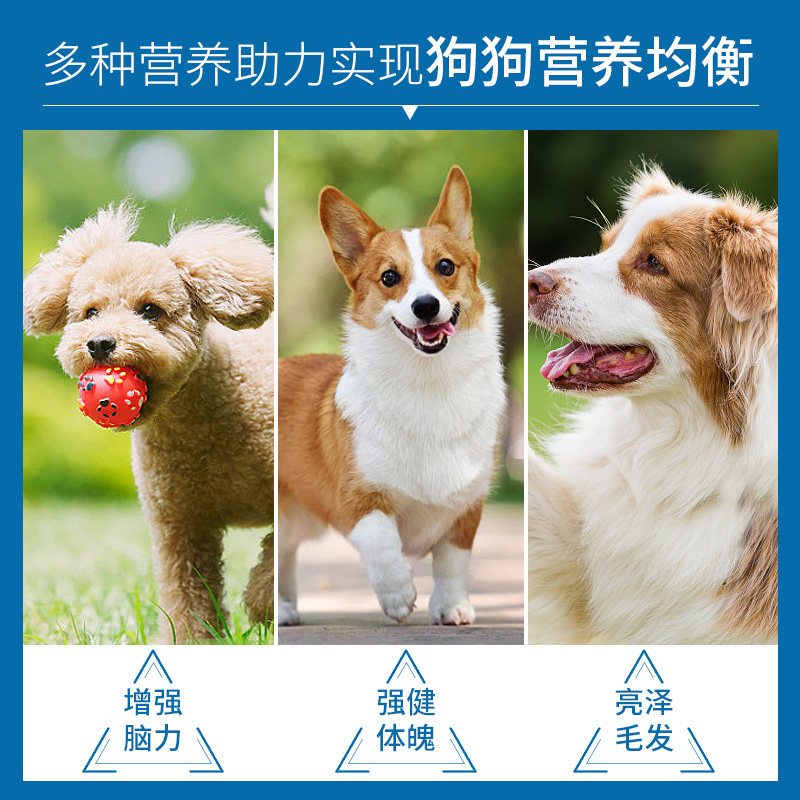 麦富迪宠物狗粮2.5kg 营养平衡全犬幼犬天然犬粮