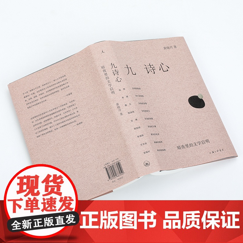 九诗心:暗夜里的文学启明高清大图