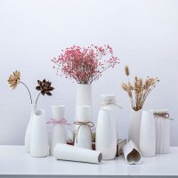 2个白浅白洁-满天星干花花瓶摆件欧式家居装饰客厅陶瓷插花花器小清新简约现代生活日用家居饰品摆件