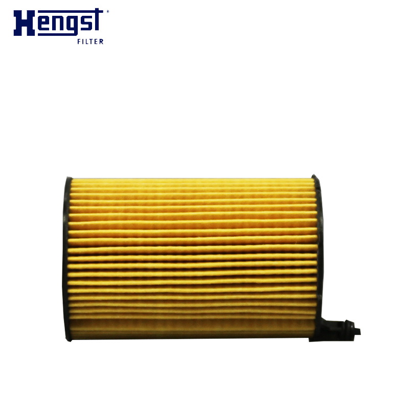 汉格斯特(hengst)机油格滤清器纸芯E816H D236适用于卡宴帕纳美拉奥迪Q7途锐3.0TDI高清大图
