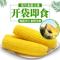 农得客东北新鲜水果玉米杂粮开袋即食无添加非转基因200g*5根