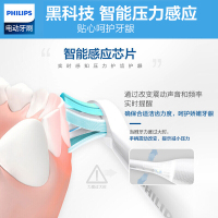 飞利浦（Philips） 电动牙刷 HX6809/02 成人充电式 声波 震动牙刷 智能计时呵护 深度清洁 牙龈美白牙齿
