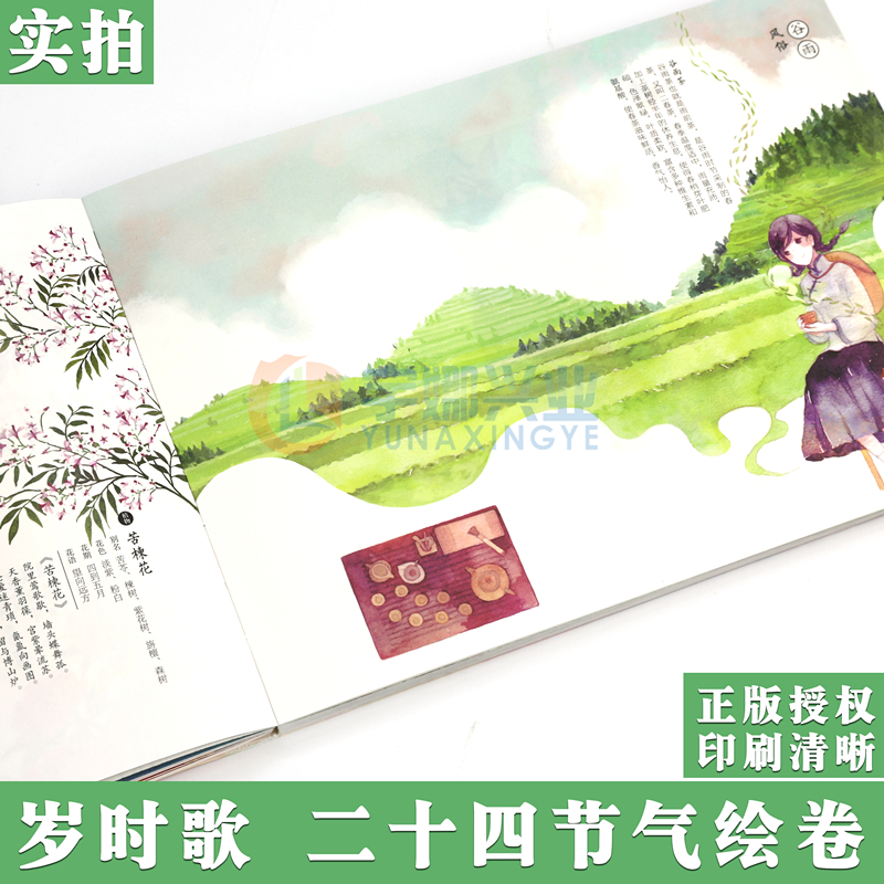 [正版] 岁时歌 二十四节气绘卷 夏小鲟绘 领略中国传统节气文化与风物之美 漫画绘本画集动漫画册绘画技法水彩插画美术书高清大图