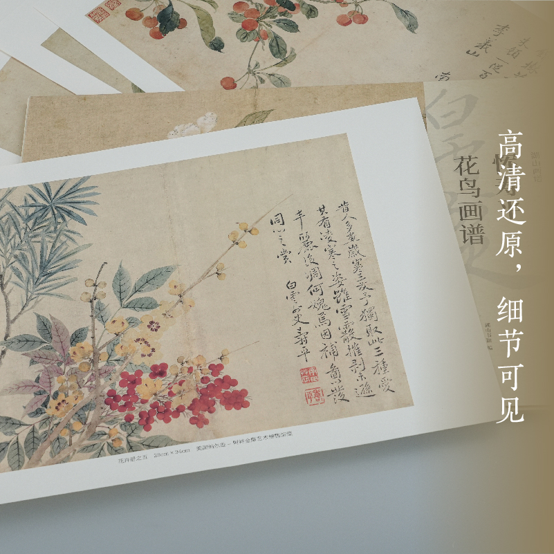花鸟篇5册 [正版]湖山画谱 沈周花鸟画谱/山水画谱 单片散装/册页立轴兼有/散页盒装高清还原/可临摹鉴赏装饰收藏 沈周高清大图