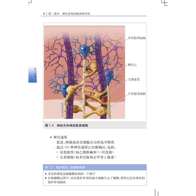[正版] 神经外科护理手册 徐燕 曹艳佩 郎黎薇 任学芳 上海科学技术出版社9787547856727