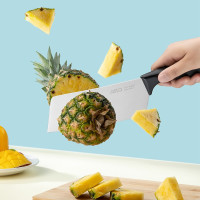 爱仕达(ASD)刀具套装 厨房锋利刀具5件套组合 切片刀切菜刀 厨师刀切肉刀 水果刀 厨房剪刀RDG05H5WG-D