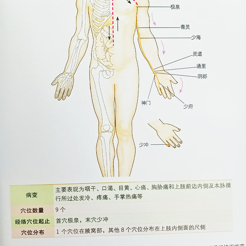 名医教你疏通经络不吃药人体14条经络 108个常用穴位人体经络穴位速记手册大全书女性养生三步走按摩书籍零基高清大图