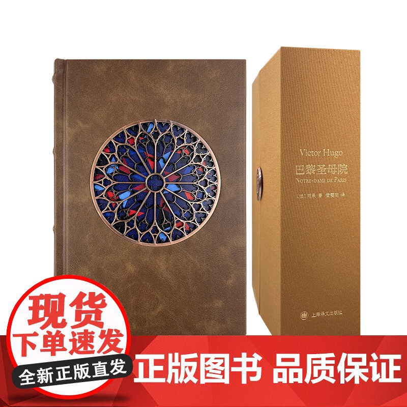 巴黎圣母院 译文插画珍藏本雨果作品世界名著管震湖译本精细插图法国文学上海译文出版社外国小说正版另著悲惨世界高清大图