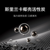 米家净水器Pro 双出水 1600G