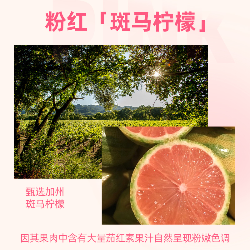 佳果源小粉柠复合果汁250g*9瓶 双重柠檬 果香浓郁高清大图
