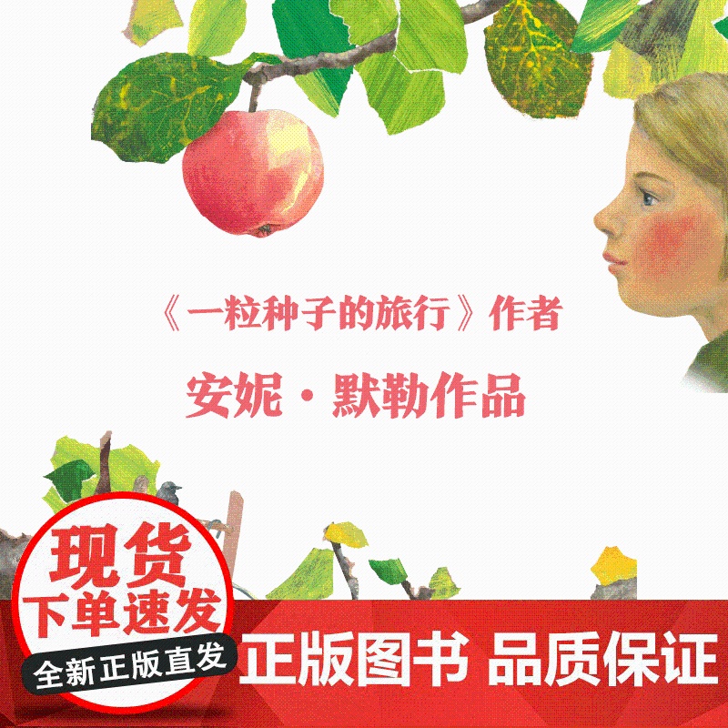 谢谢你,小苹果!爱心树童书正品 自然 科普 绘本 生命 水果 食物高清大图