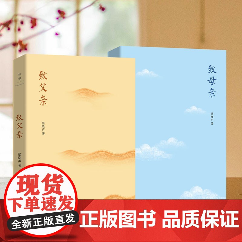 致母亲 梁晓声 著 文学高清大图