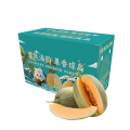 礼盒装【苏鲜生】新鲜哈密瓜 净重7.5斤 2-4个 应季水果 新鲜甜瓜 鲜果