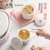 天际DGD16-16ZWG电炖锅隔水白瓷煲汤煮粥神器陶瓷BB养生全自动家用燕窝炖盅一锅三胆