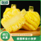 [苏鲜生] 顺丰快递 泰国迷你小菠萝 酸甜多汁 净重5斤装 去皮小凤梨 凤梨 削皮菠萝 超甜时令 开袋即食